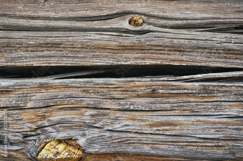 Beautiful wood texture. The natural texture. Organic texture. Natural background 