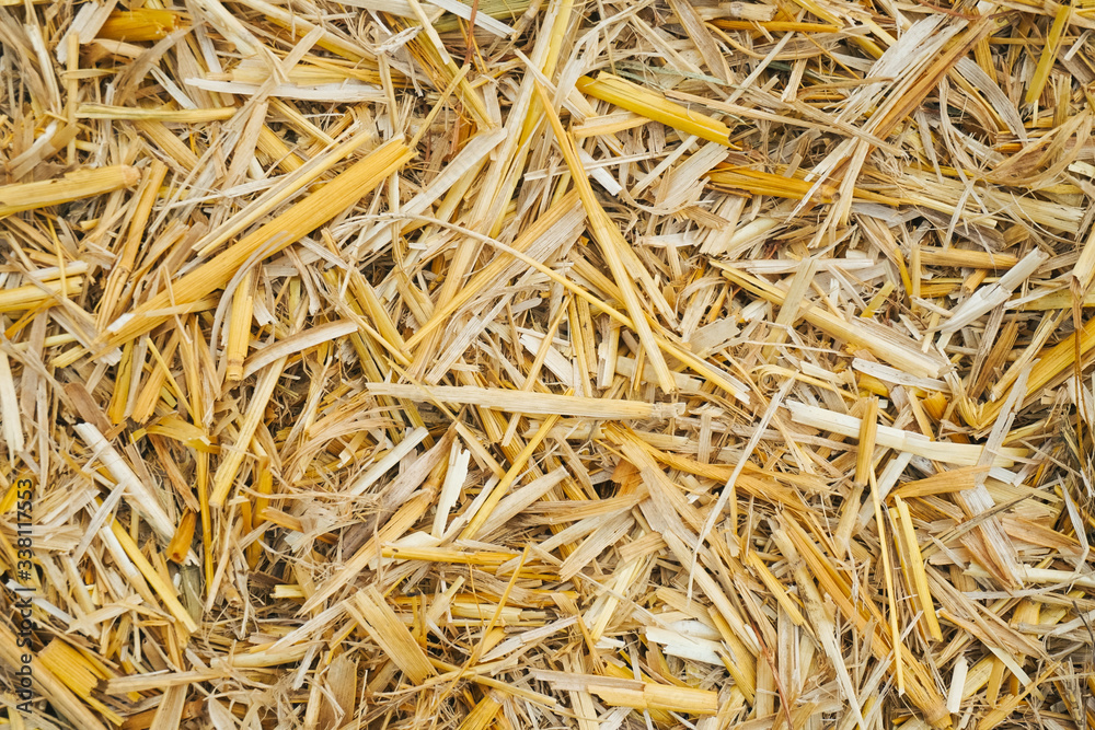 Beautiful texture of the straw. The natural texture. Organic texture. Natural background