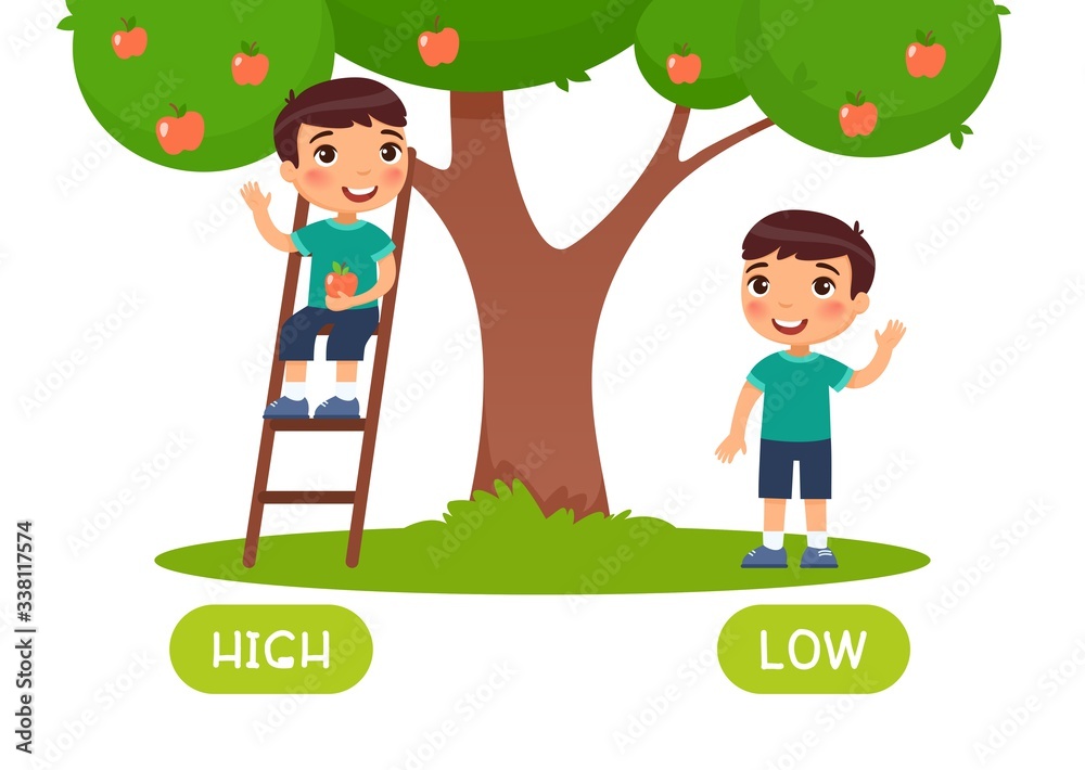 High and low antonyms word card vector template. Flashcard for english language learning. Opposites concept. Boy standing on ladder, picking apple from tree illustration with typography High and low antonyms word card vector template. Flashcard for english language learning. Opposites concept. Boy standing on ladder, picking apple from tree illustration with typography