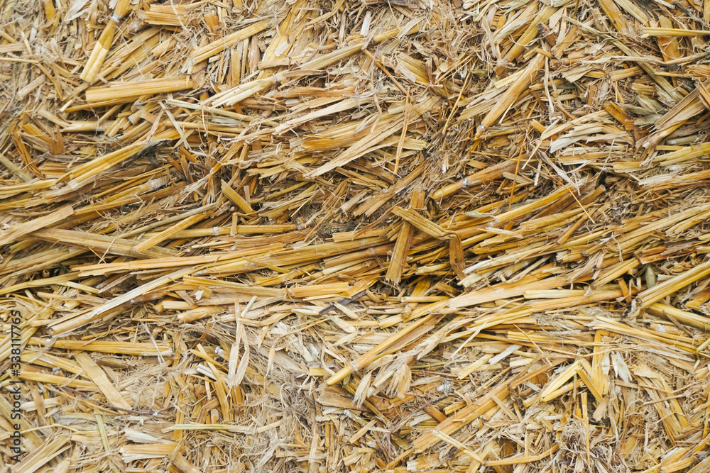 Beautiful texture of the straw. The natural texture. Organic texture. Natural background Beautiful texture of the straw. The natural texture. Organic texture. Natural background
