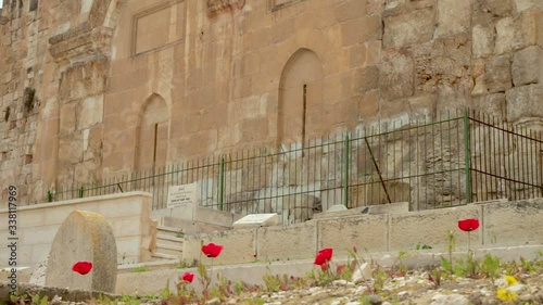 View of the Golden gates in the Old City Walls of Jerusalem in Israel. Close up on red poppy flowers in the foreground. It located in an ancient Muslim cemetery. 