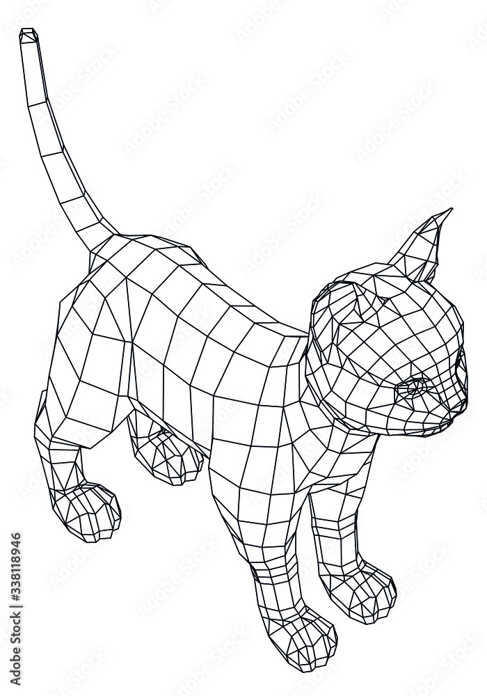 Kitten polygonal lines illustration. Vector kitten on the white background
