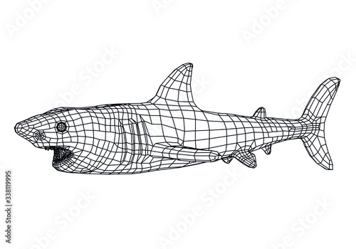 Great White Shark polygonal lines illustration. Abstract vector shark on the white background