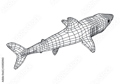 Great White Shark polygonal lines illustration. Abstract vector shark on the white background