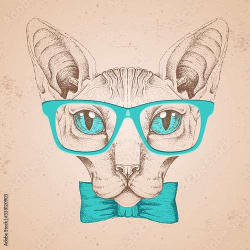 Hipster animal head of sphynx cat. Hand drawing Muzzle of sphynx cat