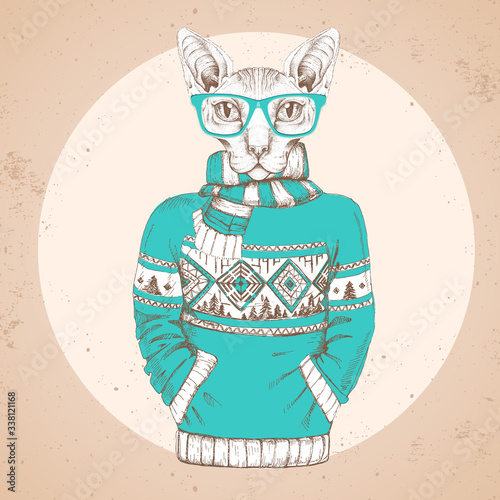 Retro Hipster fashion animal sphynx cat dressed up in pullover.
