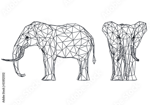 Elephant polygonal lines illustration. Abstract vector elephant on the white background