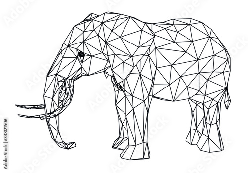 Elephant polygonal lines illustration. Abstract vector elephant on the white background