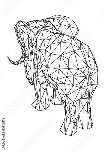 Elephant polygonal lines illustration. Abstract vector elephant on the white background