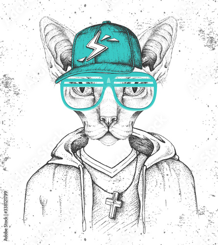 hipster-kot-sfinks-ubrany-w-czapke-jak-raper