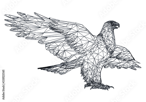 Bald Eagle polygonal lines illustration. Abstract vector eagle on the white background