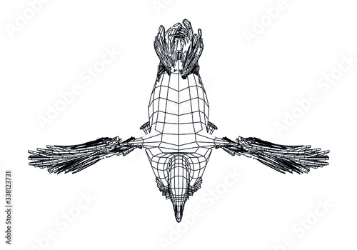 Goose polygonal lines illustration. Vector goose on the white background