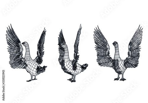 Goose polygonal lines illustration. Vector goose on the white background