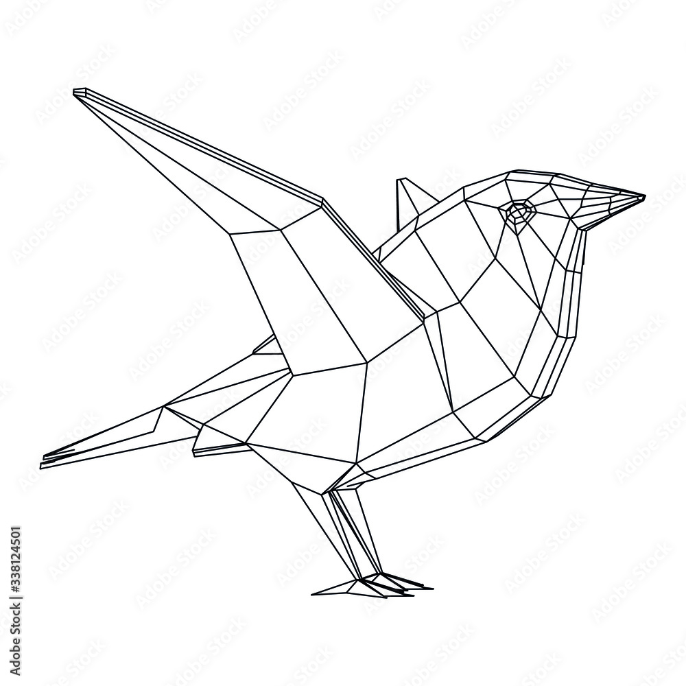 Bird polygonal lines illustration. Abstract vector bird on the white background