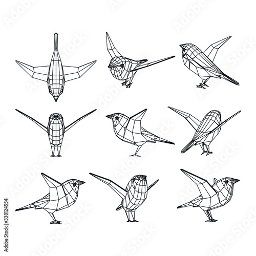 Bird polygonal lines illustration. Abstract vector bird on the white background