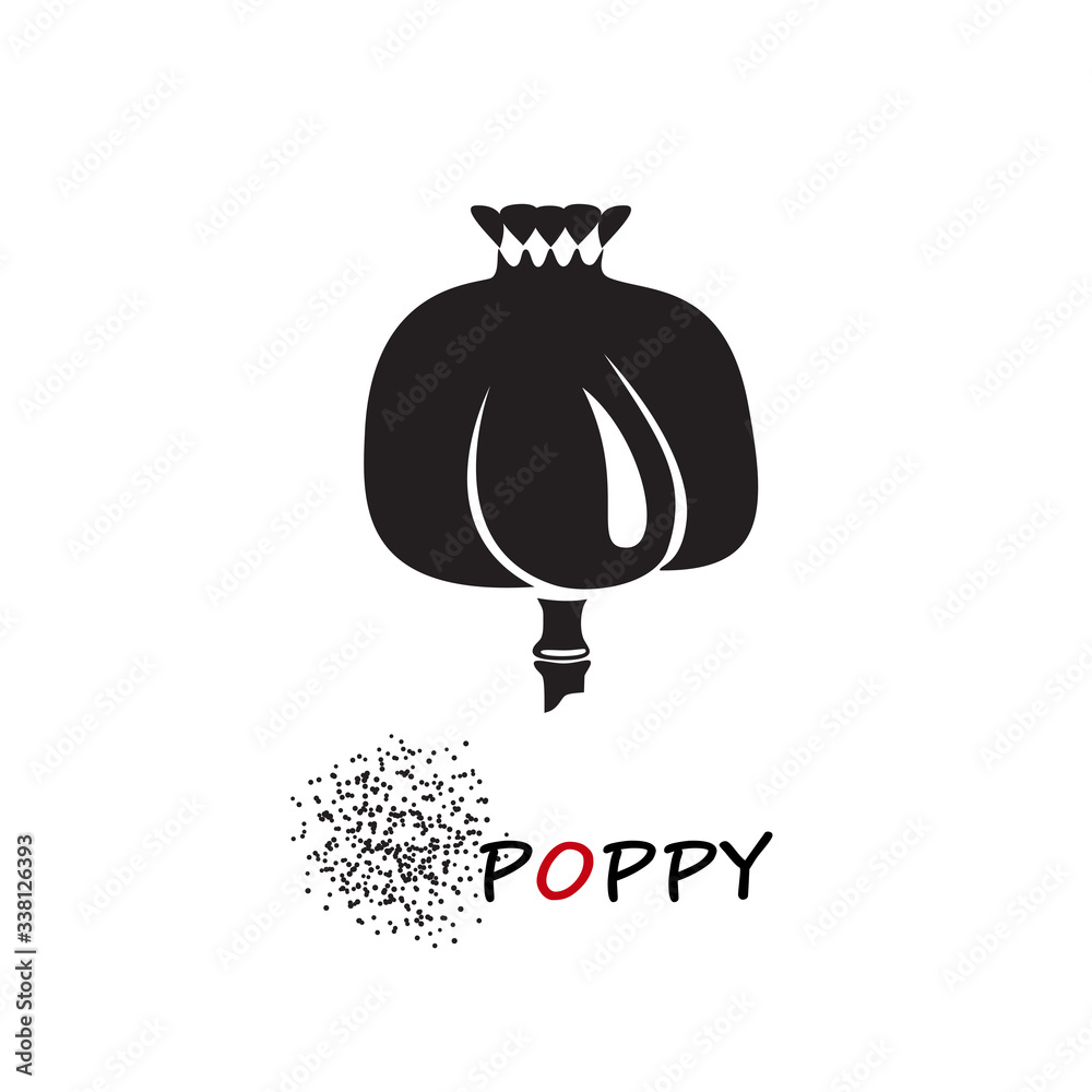 Fototapeta premium Poppy head and seeds vector illustration