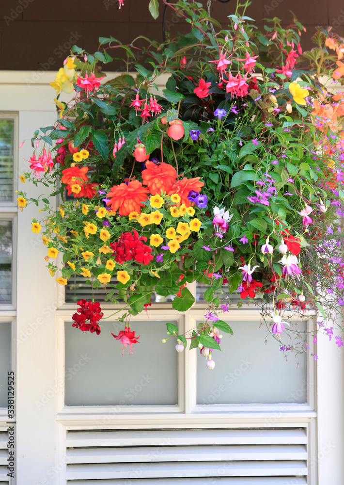 Fototapeta premium Blooming flowers amazing complex baskets hanging pots near small luxury lodge exterior.
