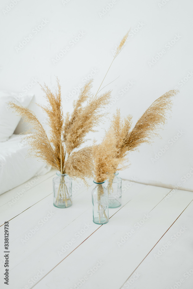 Plakat Pampas dry grass in blue vases on white background. Boho style decorations. Scandinavian minimalism interior decor