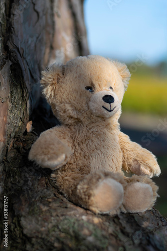 Brauner fröhlicher Teddybär an Baum angelehnt