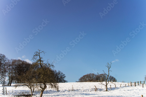 Pferdekoppel im Winter