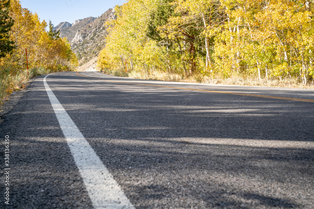 Fototapeta premium road in autumn