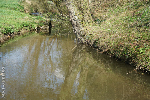 A stream in the Bavarian Forest in spring