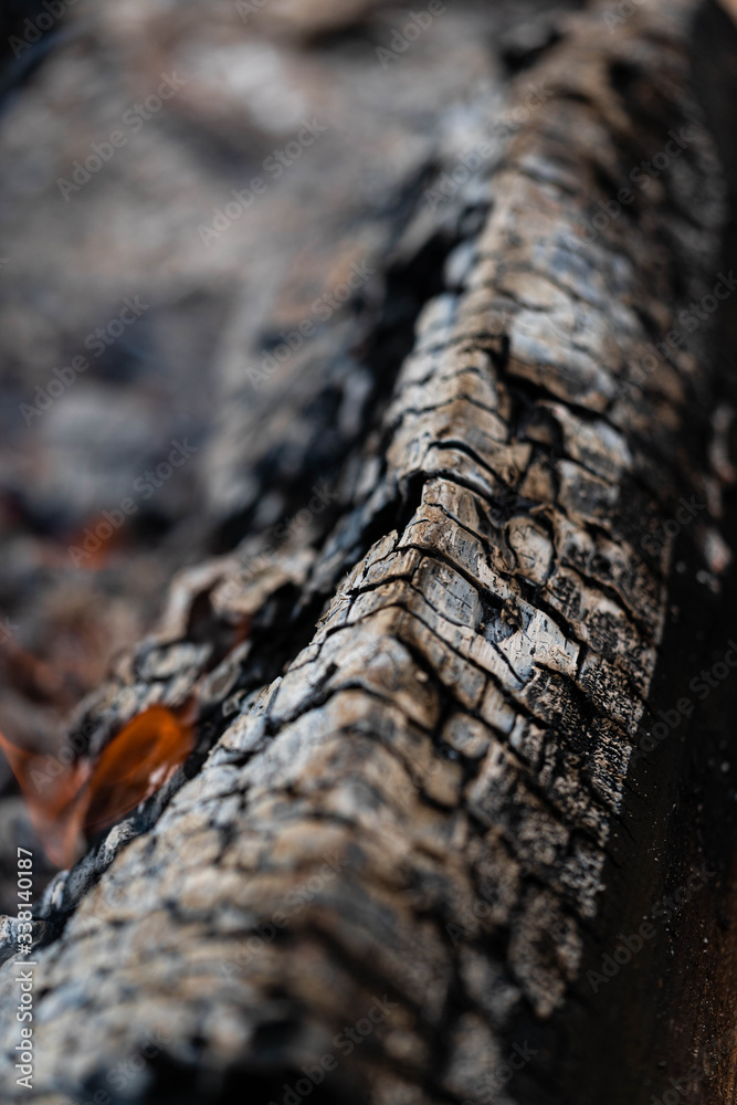 close up of a fire log close up of a fire log