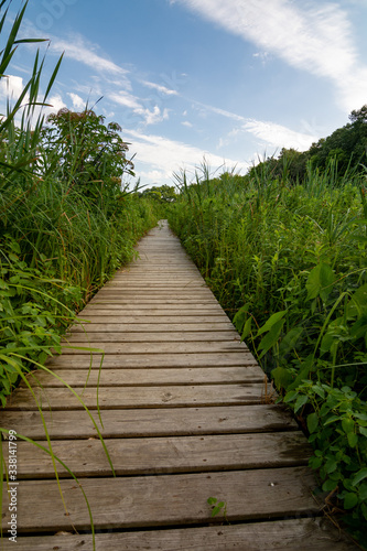 walkway, wetland, trail, grass, summer, adventure, agriculture, backdrop, background, blue, calm, concept, countryside, crop, direction, dixon waterfowl refuge, environment, explore, farm, farming, fi