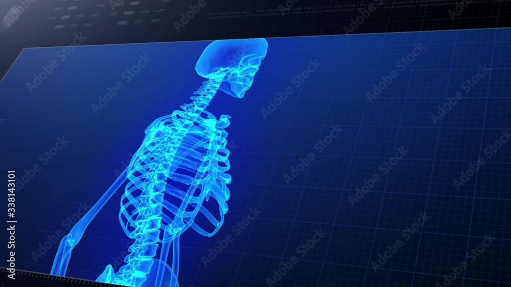 Human body skeleton study on diagnostic computer display.