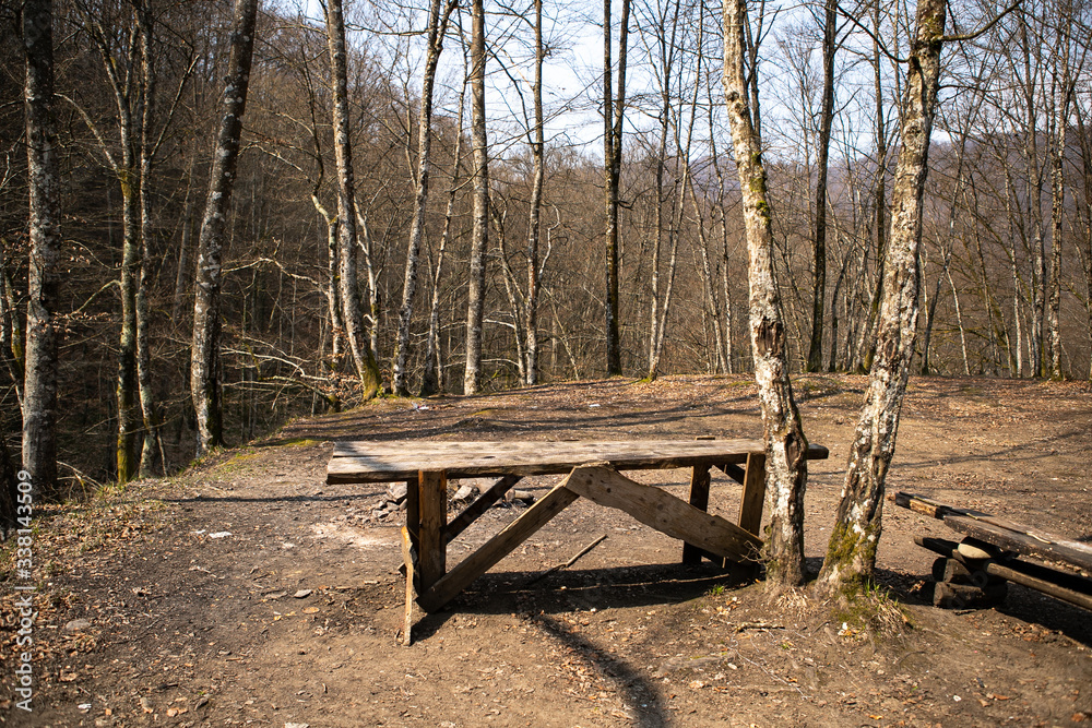 Wooden rustic empty dinner table in a forest early in the spring