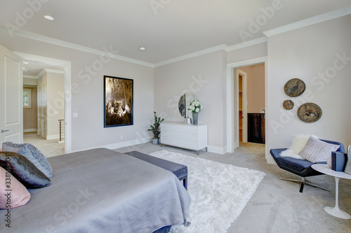 Master bedroom interior with king size bed. Luxury American modern home.