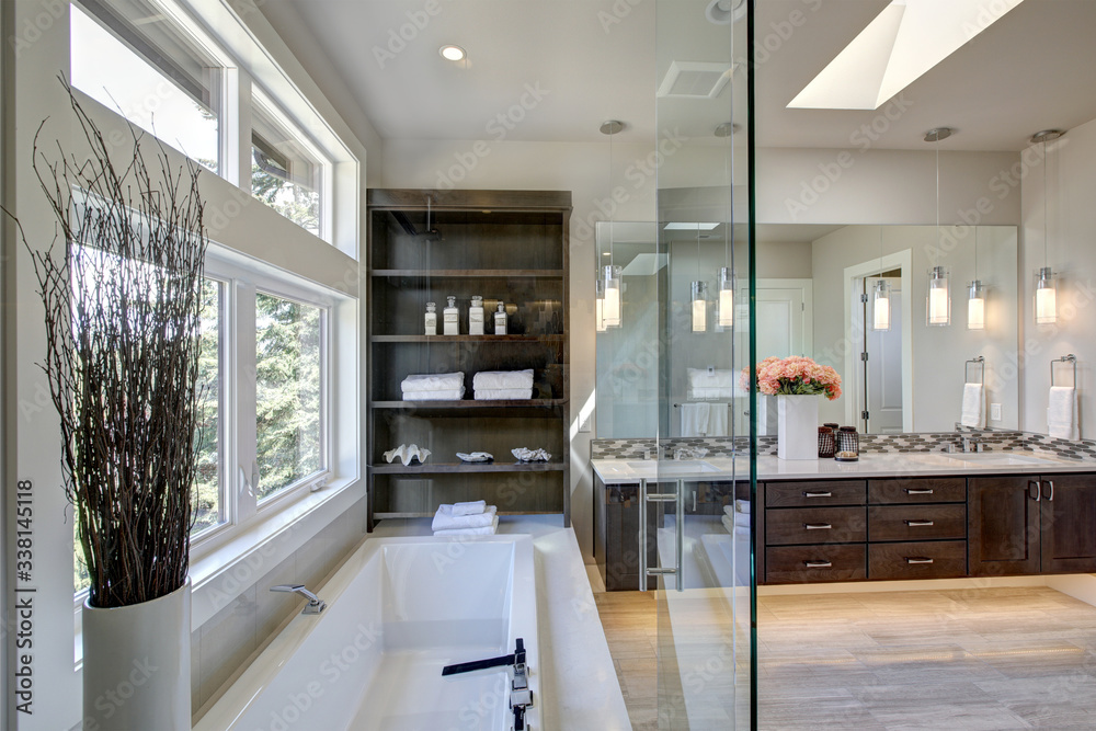 Obraz premium Contemporary bathroom interior. Luxury American modern home.