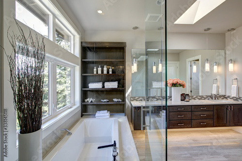 Contemporary bathroom interior. Luxury American modern home.