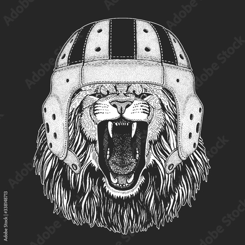 Lion. Wild animal portrait. Face of african cat.