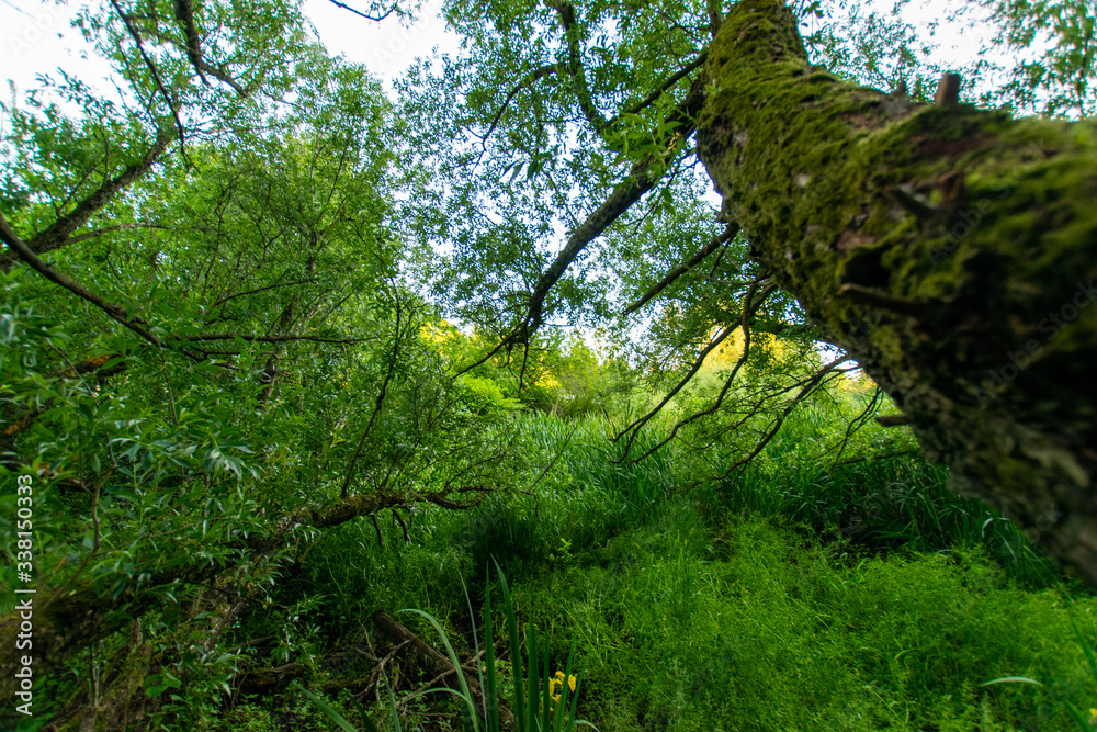 Obraz premium natural scenery in Germany 