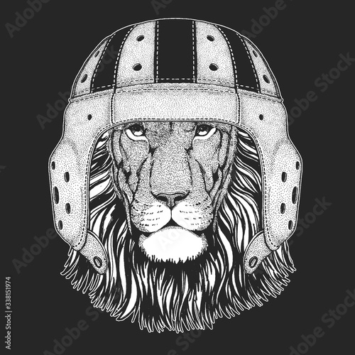 Lion. Wild animal portrait. Face of african cat.