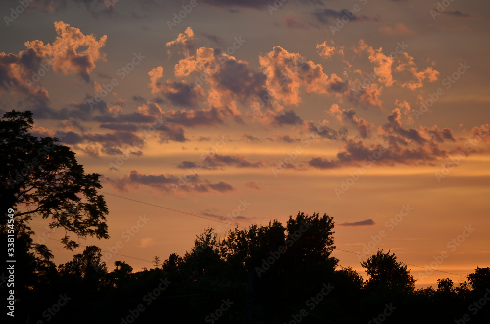 Orange Sunset Sky with Puffy Clouds and Dark Trees