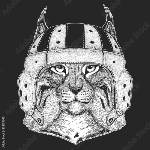 Lynx, bobcat, trot portrait. Rugby leather helmet. Head of wild cat. Animal face.