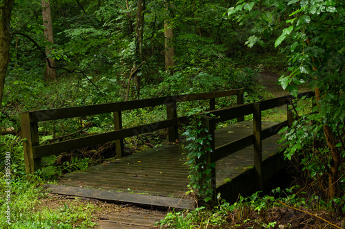 Wooden bridge in the forest.  Castle Rock State Park, Illinois, USA