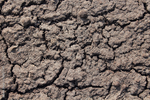 Black soil. Close-up. High sharpness. Top view. Background. Texture.