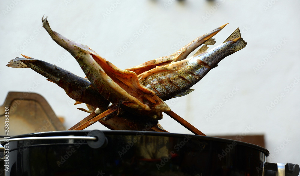 Fototapeta premium Räucherfisch. Auf Holzspießen gesteckte Forellen werden auf Grill geräuchert