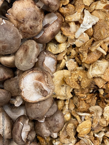 Organic Mushrooms super healthy foods. Baby Bella and Shitake mushrooms 
