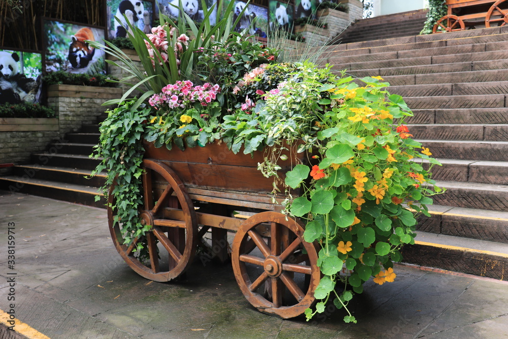 Wooden cart of plants decoration, with colored flowers