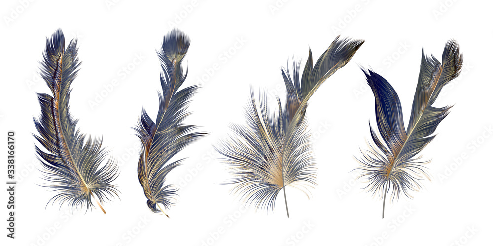 Set Modern abstract art Blue with Golden Feather. Vector illustration. Set Modern abstract art Blue with Golden Feather. Vector illustration.
