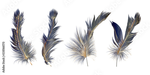 Set Modern abstract art Blue with Golden Feather. Vector illustration.