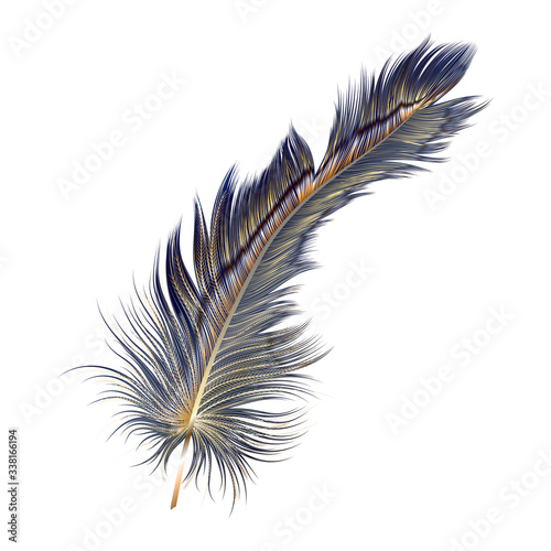 Modern abstract art Blue with Golden Feather. Vector illustration.