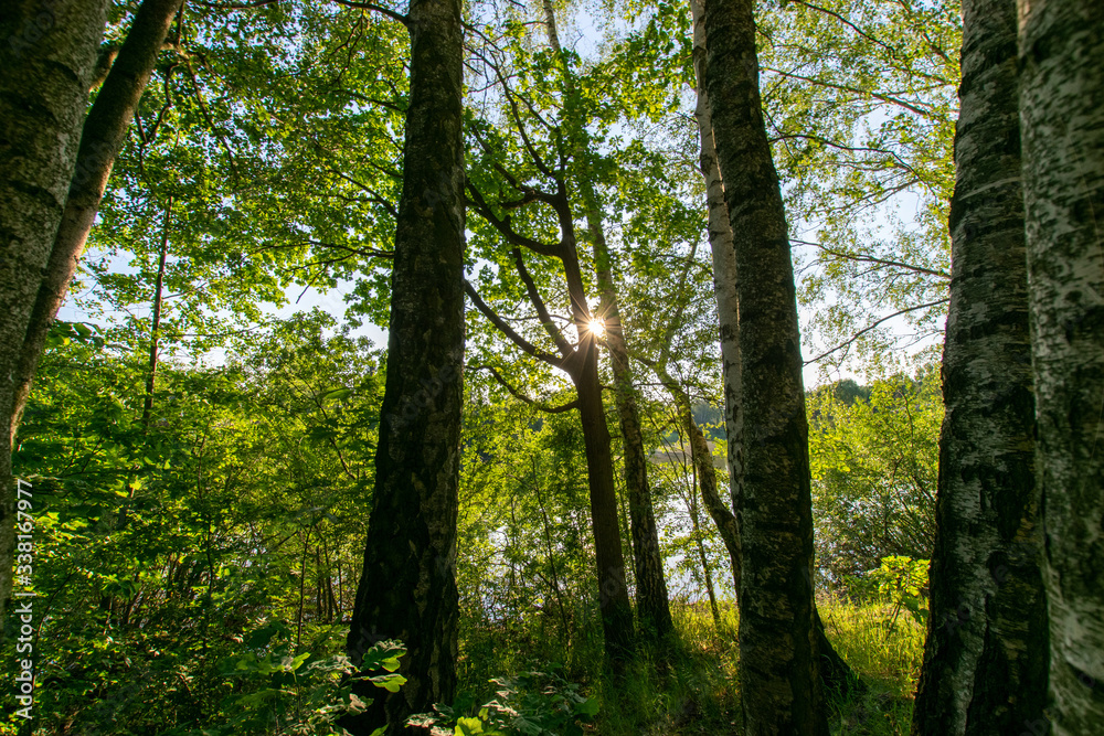 natural scenery in Germany 