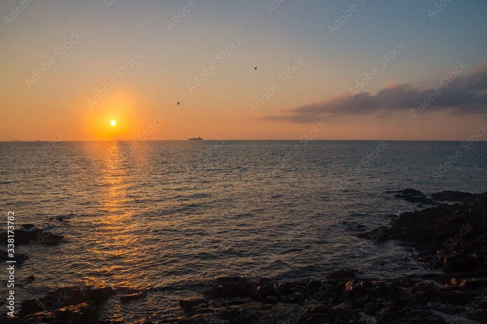磯と朝日と鳥と沖の船影DSC6999