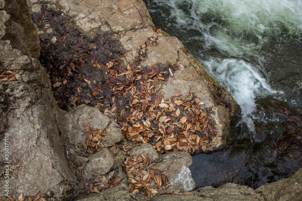 Obraz premium mountain river flows