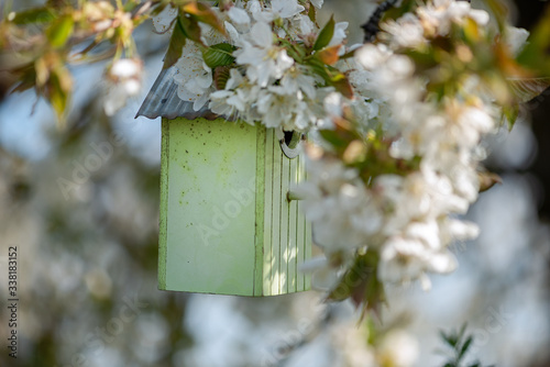 Birdhouse in spring with blossom cherryflower photo